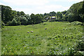 Lustleigh: above Lustleigh Mill