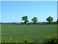 Farmland off Howe Road