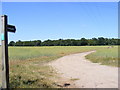 Footpath off Dobbs Lane