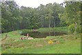 Pond near Comrie Croft