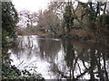 Lake south of Hollydale Recreation Grounds (5)