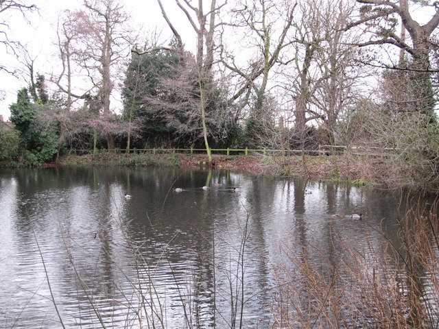 Lake south of Hollydale Recreation Grounds (8)