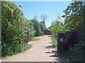 Driveway to the smallholding