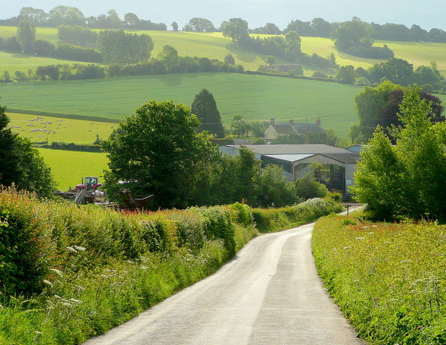 Rudhall valley; early summer