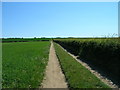 Farm track heading south near Amotherby