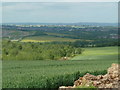 Open fields with views west from Woodside