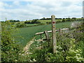 Footpath towards Clowne