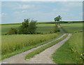 Farm track north of Bank House