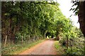 Bridleway to the A40