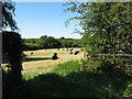 Field near Capel Llanilltern