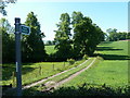 Footpath towards Cutthorpe Hall