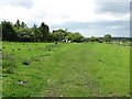 Grassed over road, Barmoor