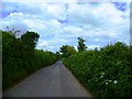 The Lane Between Thurlestone Sand and South Milton