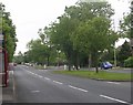 Allerton Road - viewed from Crow Tree Lane