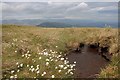 NY4413 : Cottongrass and Peat Grough by Mick Garratt