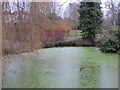 Pond, Hayes Recreation Gardens (3)