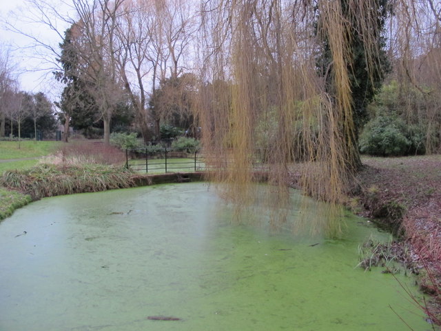 Pond, Hayes Recreation Gardens (4)