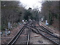 Railway lines west of Hayes (Kent) station