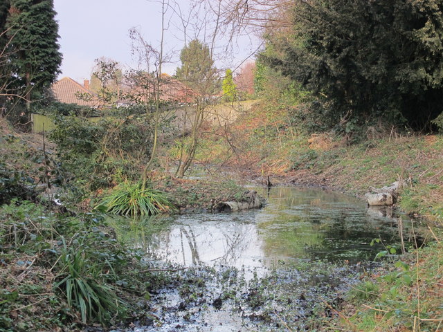 Small pond on a minor tributary of the Kyd Brook, Darrick Wood (3)