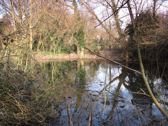 Pond in Darrick Wood (2)