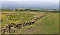 Mantley from near Mantley Gate