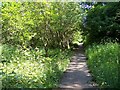 The site of Hindley Green station