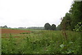 Land on Edge of Reach Wood, near Northiam