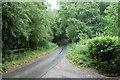 Lordine Lane, climbs towards Stumbletts Wood