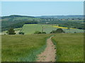 Footpath between Bole Hill and Barlow