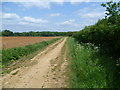 TF0505 : Farm track on the Burghley Park estate by Marathon