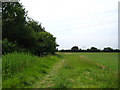 Footpath near Brooke House