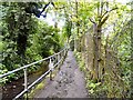 Footpath by Godley Brook