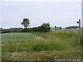 Footpath to Spring Lane