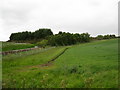 Site of the Ardin Quarry