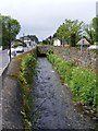 W1245 : River Ruagagh in Drimoleague - Baurnahulla Townland by Mac McCarron