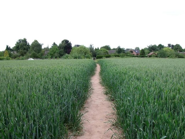Footpath to Repton