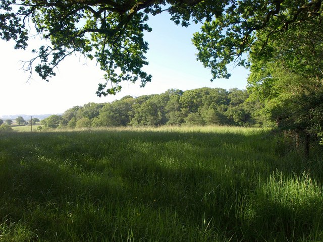 Field surrounded by trees, Stoney Lane Hill