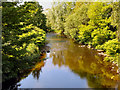 SJ9498 : River Tame, Dukinfield by David Dixon