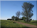 The track to Victoria Farm