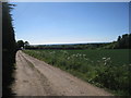 The lane to Holy Well Farm