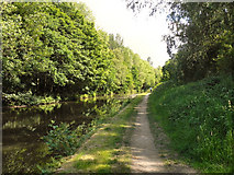 SJ9396 : Peak Forest Canal by David Dixon