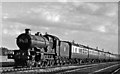 Paddington - Cheltenham express north of Standish Junction, near Haresfield LMS