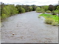 NZ2115 : River Tees, Piercebridge by Maigheach-gheal