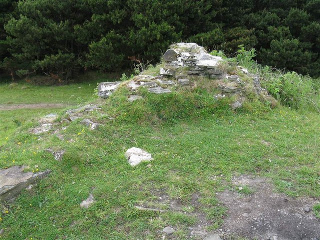 Wall fragment at remains of Kilvey Hill Windmill