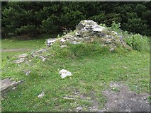 SS6793 : Wall fragment at remains of Kilvey Hill Windmill by Nigel Davies