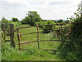 Narrow field at Lea Court Farm