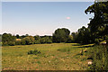 2011 : Field north of the entrance to Lackham College