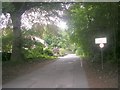 Clara Drive - looking up from Champion House