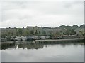 Apperley Bridge Marina - viewed from Canal towpath