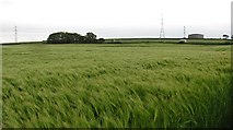 NS9887 : Barley field by Richard Webb